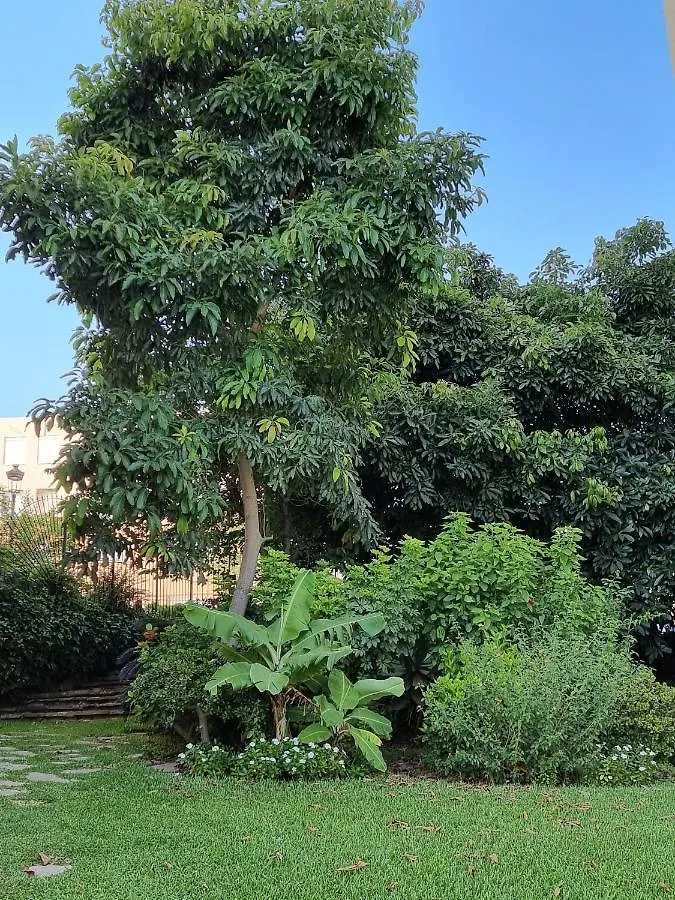 Apartment Ferienwohnung Estepona Kai Alde Spanien